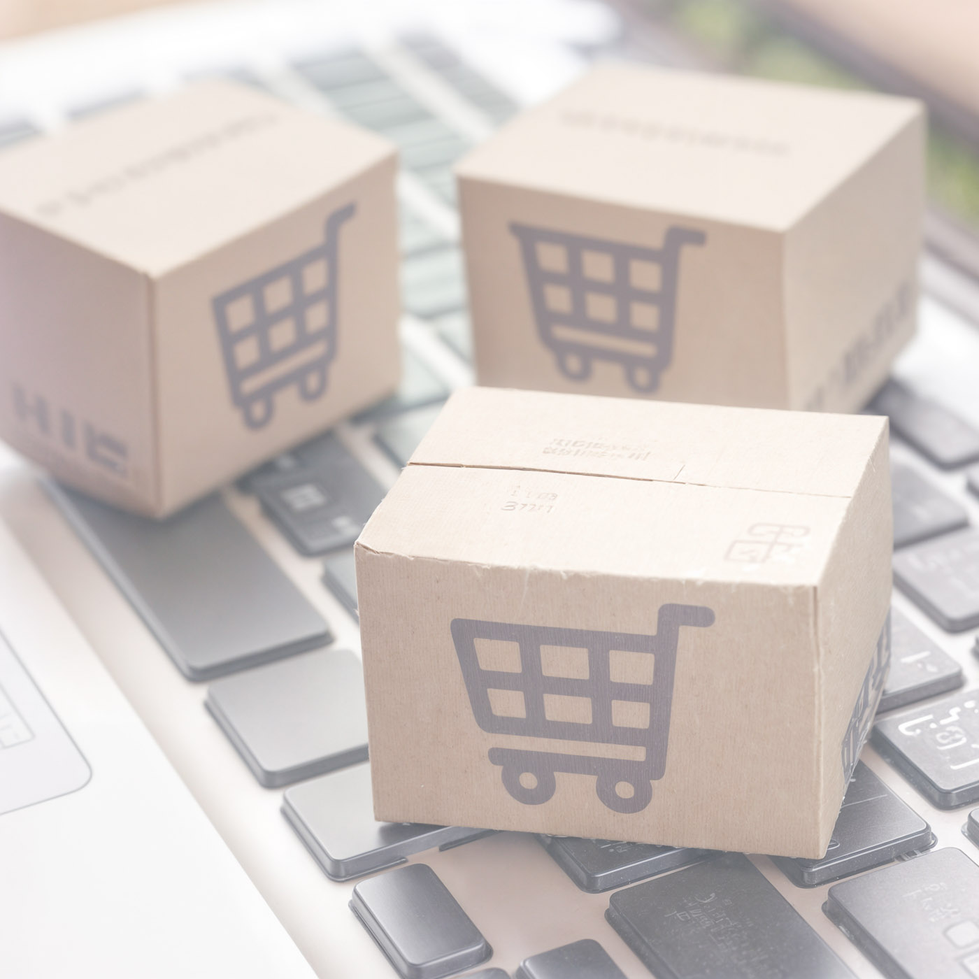 Directorio de productos para el diseño 3d
